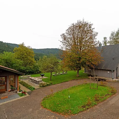 Lug Ins Tal - 2 Haeuser Baiersbronn